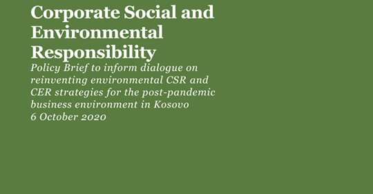 Kosovo Sustainable Development Week – Impact of the Pandemic on Corporate Policies